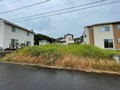 土地