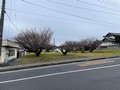 土地