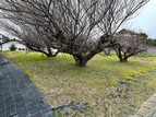 土地